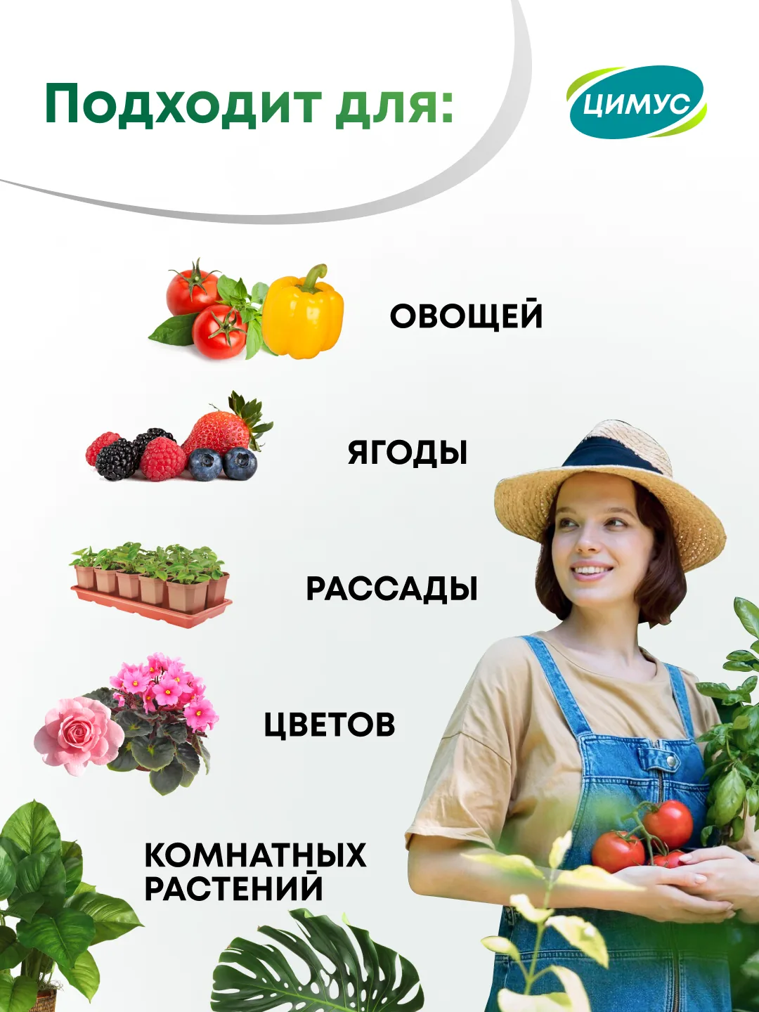 Инфографика карточки «Цимус» с категориями растений